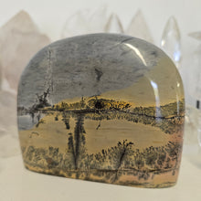 Load image into Gallery viewer, Picture Jasper Freeform