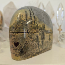 Load image into Gallery viewer, Picture Jasper Freeform