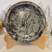Load image into Gallery viewer, Picture Jasper Plate