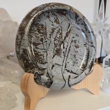Load image into Gallery viewer, Picture Jasper Plate