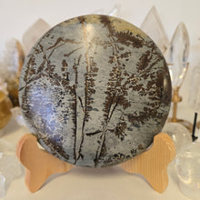 Load image into Gallery viewer, Picture Jasper Plate