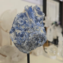 Load image into Gallery viewer, Blue Kyanite on Stand