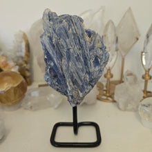 Load image into Gallery viewer, Blue Kyanite on Stand