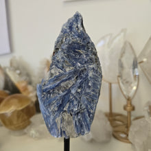Load image into Gallery viewer, Blue Kyanite on Stand