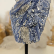 Load image into Gallery viewer, Blue Kyanite on Stand