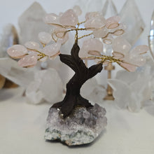 Load image into Gallery viewer, Rose Quartz on Amethyst Bonsai Tree