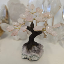 Load image into Gallery viewer, Rose Quartz on Amethyst Bonsai Tree