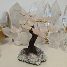 Load image into Gallery viewer, Rose Quartz on Amethyst Bonsai Tree