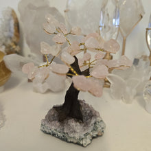 Load image into Gallery viewer, Rose Quartz on Amethyst Bonsai Tree
