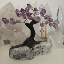 Load image into Gallery viewer, Amethyst Bonsai Tree