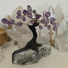 Load image into Gallery viewer, Amethyst Bonsai Tree