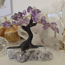 Load image into Gallery viewer, Amethyst Bonsai Tree
