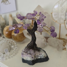 Load image into Gallery viewer, Amethyst Bonsai Tree