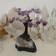 Load image into Gallery viewer, Amethyst Bonsai Tree