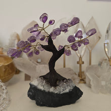 Load image into Gallery viewer, Amethyst Bonsai Tree