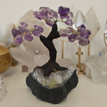 Load image into Gallery viewer, Amethyst Bonsai Tree