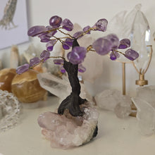 Load image into Gallery viewer, Amethyst Bonsai Tree
