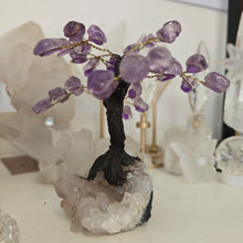 Load image into Gallery viewer, Amethyst Bonsai Tree