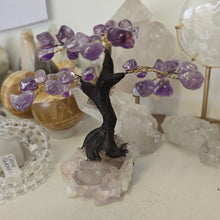 Load image into Gallery viewer, Amethyst Bonsai Tree
