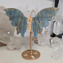 Load image into Gallery viewer, Blue Onyx Butterfly Wings