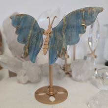 Load image into Gallery viewer, Blue Onyx Butterfly Wings