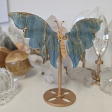 Load image into Gallery viewer, Blue Onyx Butterfly Wings