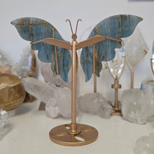 Load image into Gallery viewer, Blue Onyx Butterfly Wings