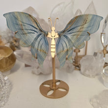 Load image into Gallery viewer, Blue Onyx Butterfly Wings