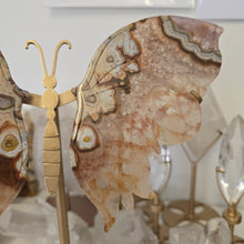 Load image into Gallery viewer, Crazy Lace Agate Wings