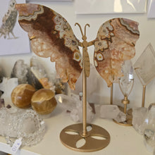 Load image into Gallery viewer, Crazy Lace Agate Wings