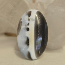 Load image into Gallery viewer, Owyhee Blue Opal Palmstone