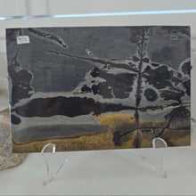 Load image into Gallery viewer, Picture Jasper Book