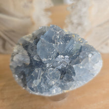 Load image into Gallery viewer, Celestite Cluster Egg