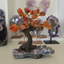 Load image into Gallery viewer, Carnelian Bonsai Tree on Amethyst Base