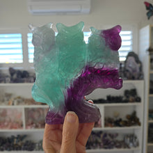 Load image into Gallery viewer, Rainbow Fluorite Owls