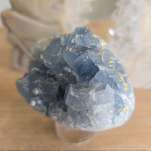 Load image into Gallery viewer, Celestite Cluster Egg