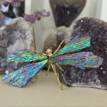 Load image into Gallery viewer, Aura Kyanite Dragonfly - Rainbow