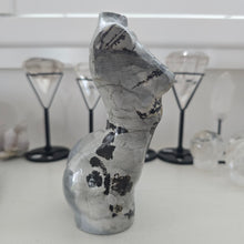 Load image into Gallery viewer, Picture Jasper Goddess Body