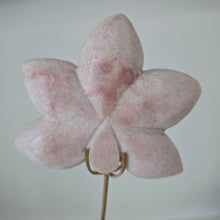Load image into Gallery viewer, Pink Opal Orchid