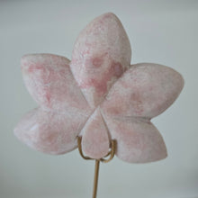 Load image into Gallery viewer, Pink Opal Orchid