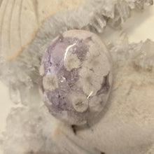 Load image into Gallery viewer, Flower Agate Palmstone