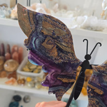Load image into Gallery viewer, Fluorite Butterfly Wings