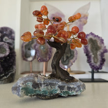 Load image into Gallery viewer, Carnelian Bonsai Tree on Amethyst Base
