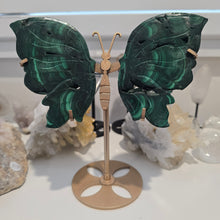 Load image into Gallery viewer, Malachite Wings