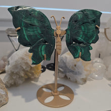 Load image into Gallery viewer, Malachite Wings