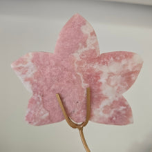 Load image into Gallery viewer, Pink Opal Orchid