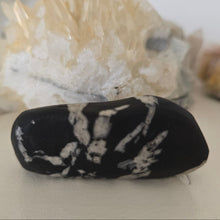 Load image into Gallery viewer, Chrysanthemum Stone Palmstone