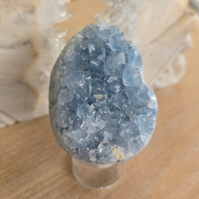 Load image into Gallery viewer, Celestite Cluster Egg