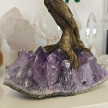 Load image into Gallery viewer, Green Quartz Bonsai Tree on Amethyst Cluster