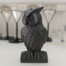 Load image into Gallery viewer, Shungite Owl